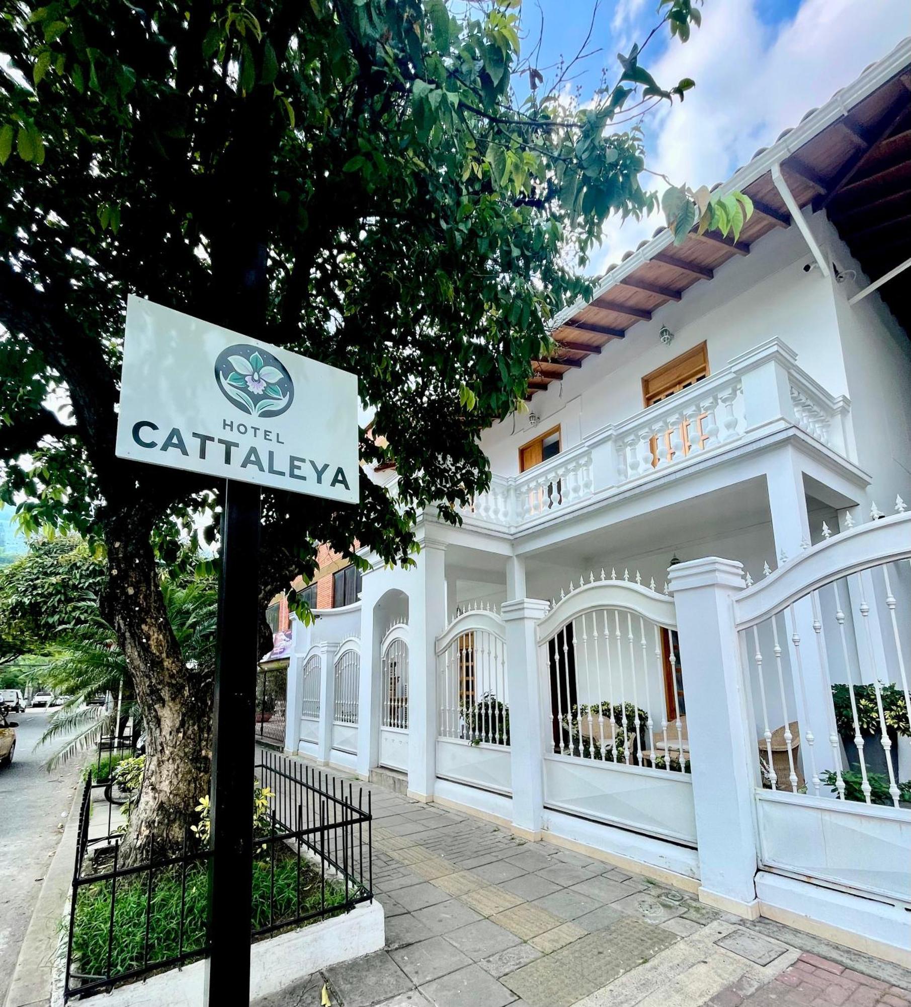 Hotel Cattaleya City Cali Dış mekan fotoğraf